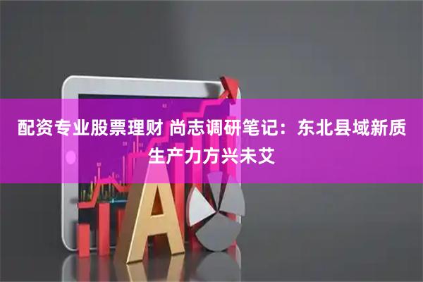 配资专业股票理财 尚志调研笔记：东北县域新质生产力方兴未艾