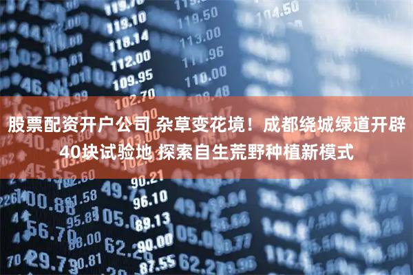 股票配资开户公司 杂草变花境！成都绕城绿道开辟40块试验地 探索自生荒野种植新模式